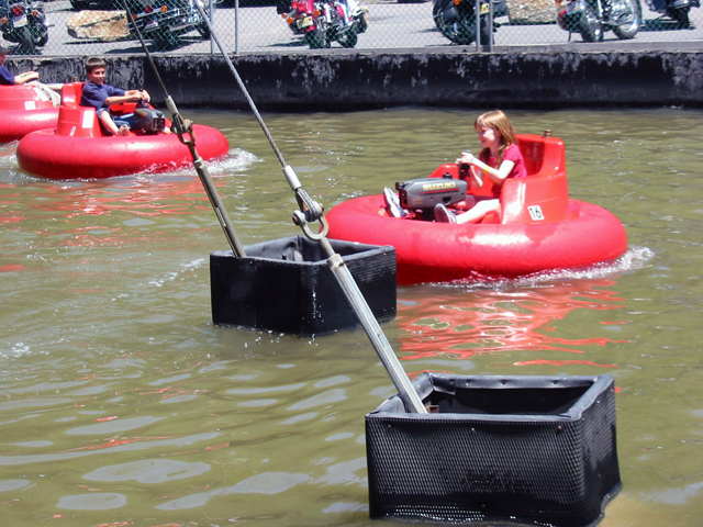 bumper boats