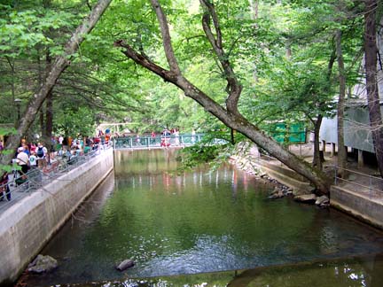 knoebels creek